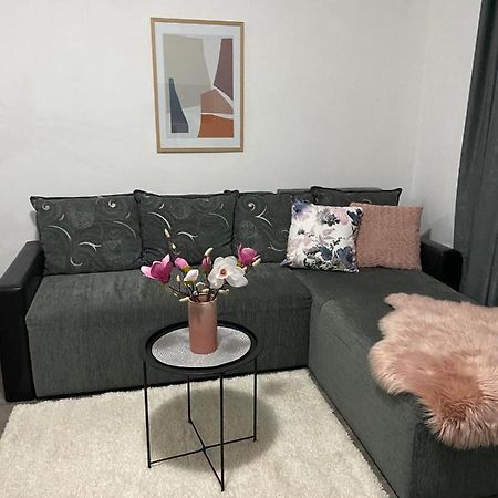 Apartman Aleksic 야고디나 외부 사진