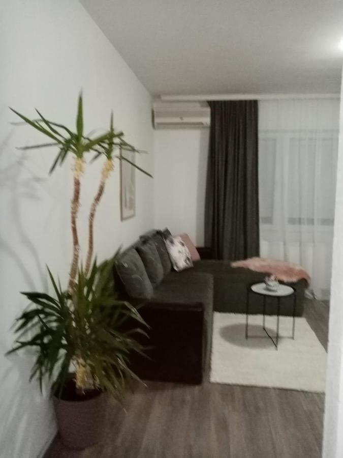 Apartman Aleksic 야고디나 외부 사진
