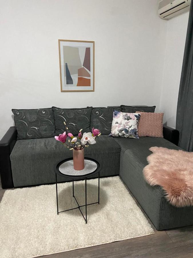 Apartman Aleksic 야고디나 외부 사진