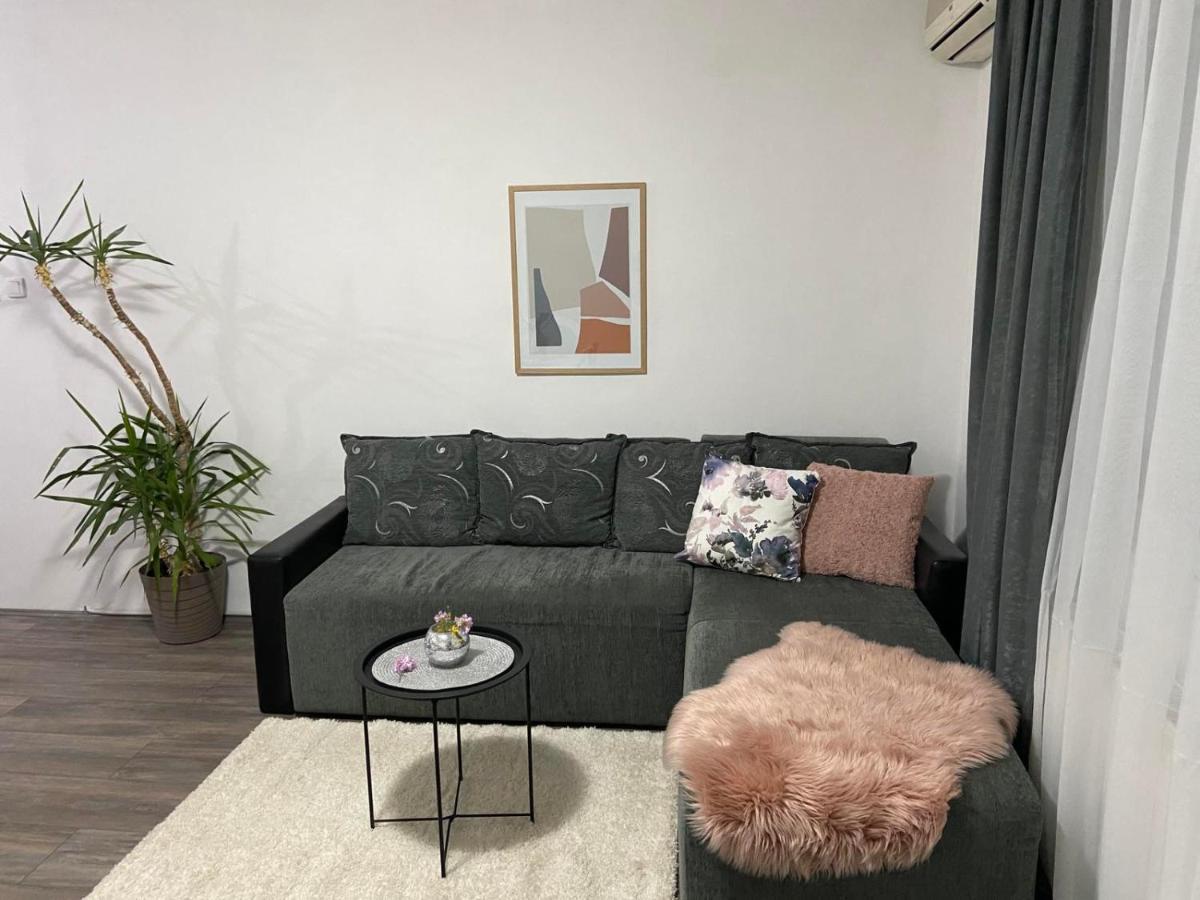 Apartman Aleksic 야고디나 외부 사진
